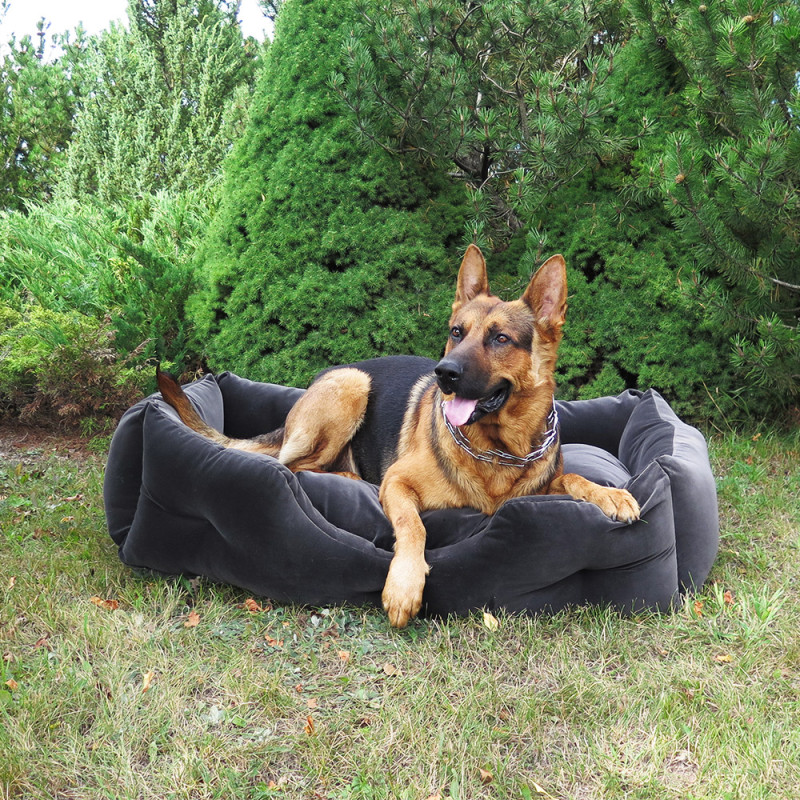 Lemmiklooma voodi PET BED ROUND